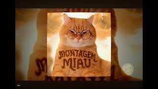   MONTAGEM MIAU. #songs #