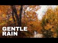 Gentle Rain Sounds | Professional Audio Recording | White Noise for Sleep, Work, Study, Relaxing