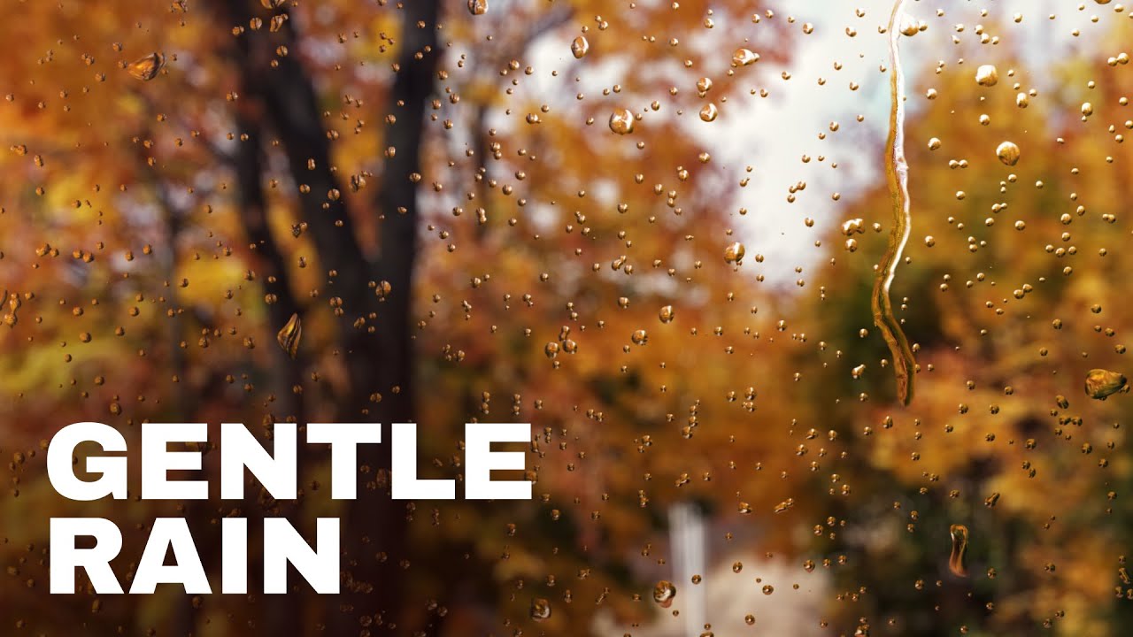 Gentle Rain Sounds | Professional Audio Recording | White Noise for Sleep, Work, Study, Relaxing