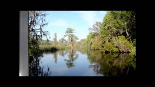 Wakulla River Video.wmv