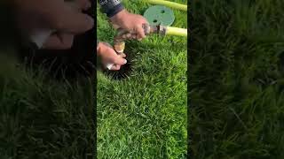 Quick coupler out #shorts #water #irrigation #golfcoursemaintenance