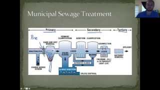 APES CH 21 Water Pollution D