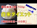 【白米ダイエット】検証29日目～35日目。毎日お米2合生活！再開1カ月目の体重・体型・食事内容を公開します。