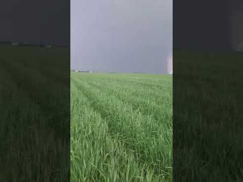 فيروز بردة بردة