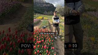 Pov You Are An Insect Shot W