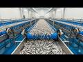 This Fish Farming Method Uses 99% Less Water – And Makes Massive Profits