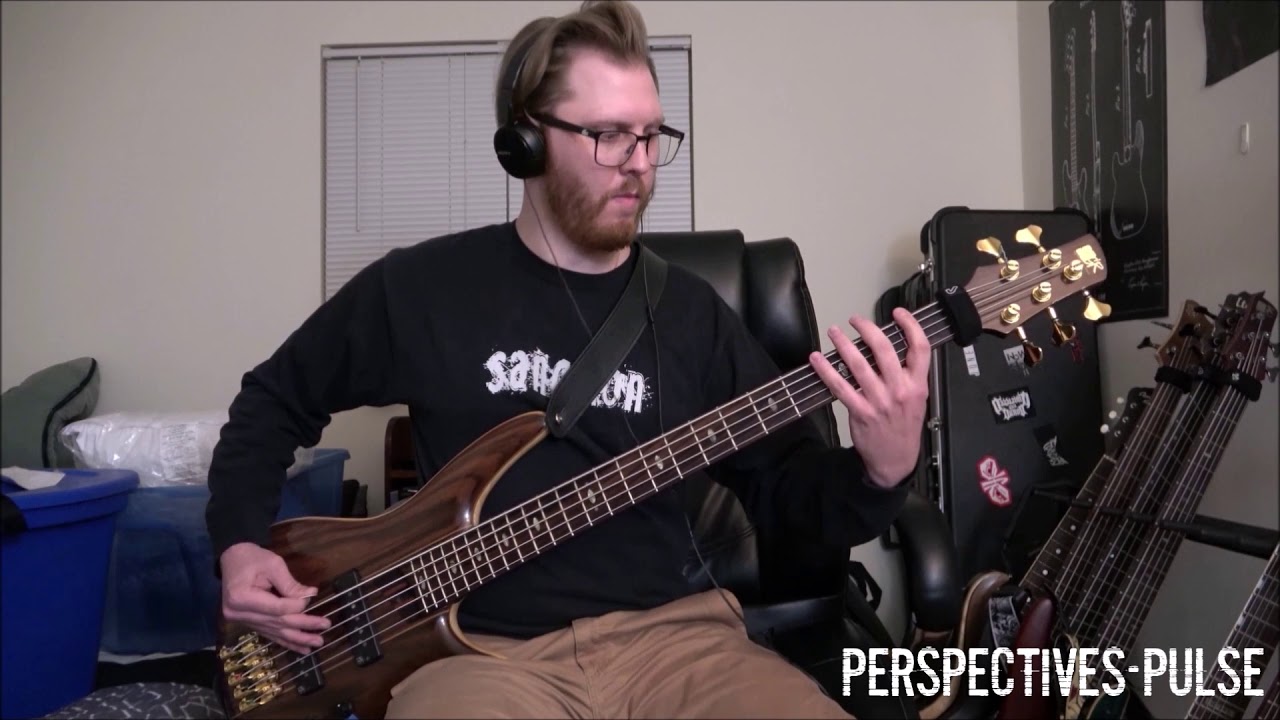 Perspectives NY - Pulse Bass Playthrough