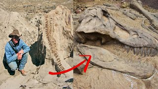 110 Million Years Old Dinosaur Mummy Found
