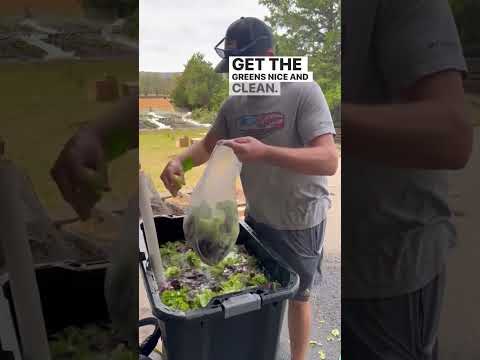 How to clean