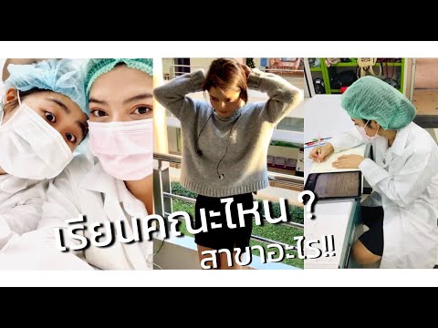 วิทยาศาสตร์เครื่องสำอาง 💄 เรียนอะไรบ้าง ยากไหม ค่าเทอม มีที่ไหนบ้าง จบแล้วทำงาน ? l SATANGBANK