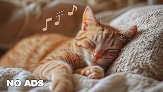 видео: 12 Часов Музыки от Тревожности для Кошек 🐱 Успокаивающая Музыка для Кошек 🎶Музыка для Снятия Стресса картинка: 12 Часов Музыки от Тревожности для Кошек 🐱 Успокаивающая Музыка для Кошек 🎶Музыка для Снятия Стресса