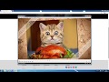 Создание видео в Animoto