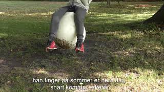 1071 Rene Leger I Gen 2D