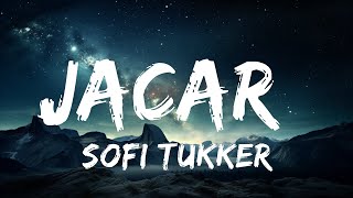 SOFI TUKKER - Jacaré (Lyrics)  | 15p Lyrics/Letra