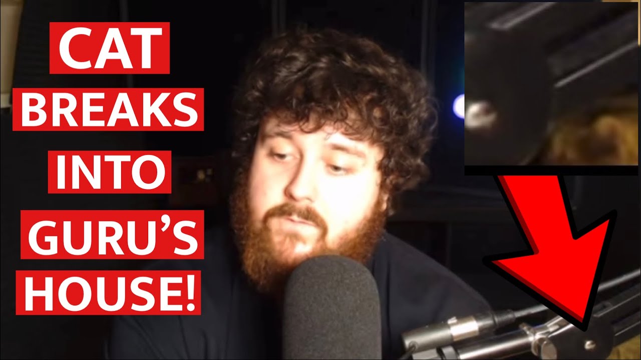 A CAT Breaks Into The MMA Guru’s House On Stream! YouTube