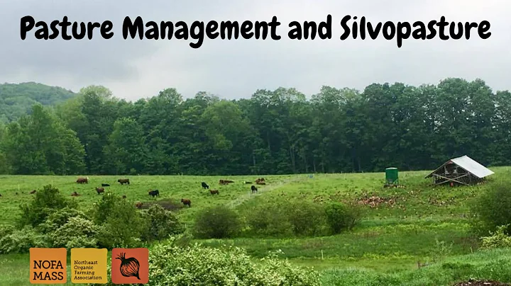 Pasture Management and Silvopasture at Square Root...