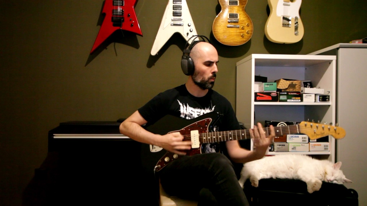 #6 Discordance Axis - Castration Rite (Guitar Cover)