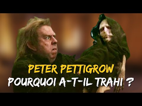 PETER PETTIGROW / HARRY POTTER - Character Analysis