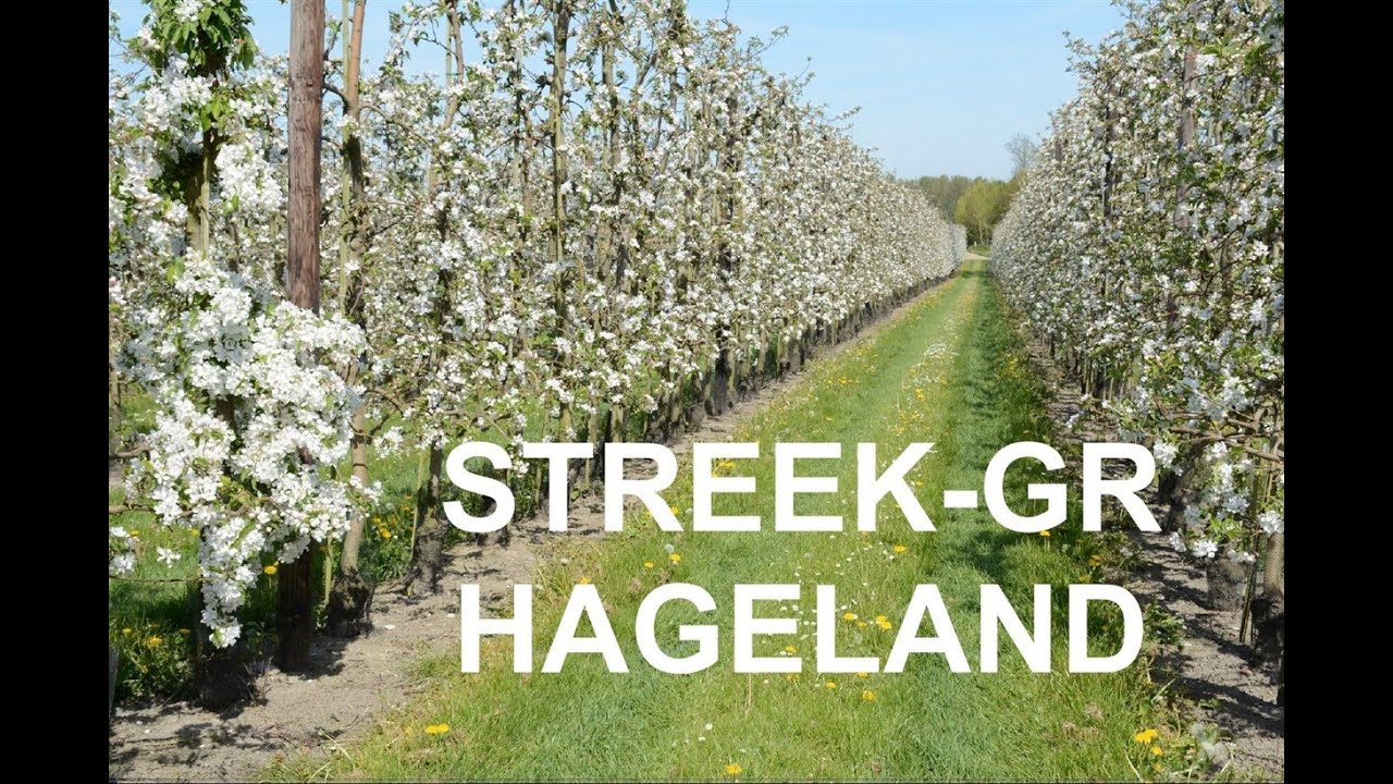 STREEK-GR HAGELAND (158 km)