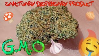 #67 G.M.O (Official Product Review) Sanctuary Dispensary Product