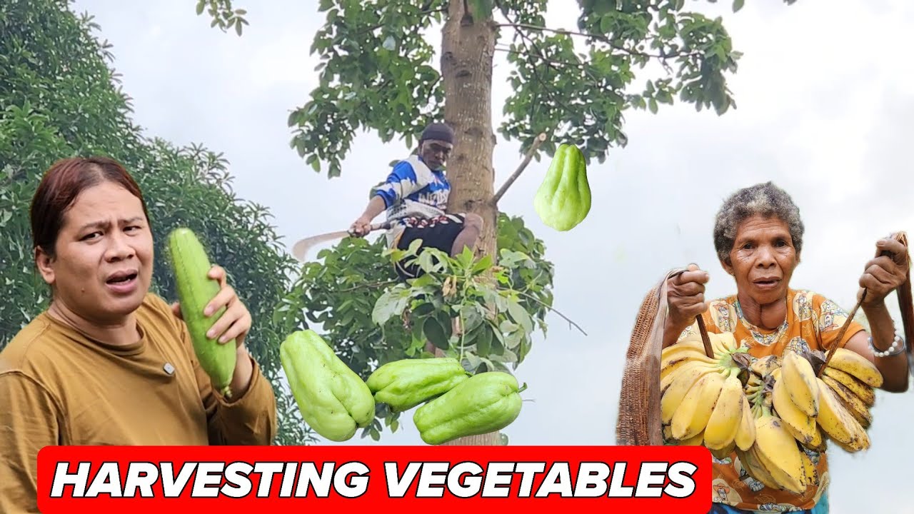 EP85 BAGONG PAMILYA NA KATUTUBO AMING NATUKLASAN SA GITNA NG KABUNDUKAN NAKATIRA