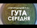 Середня Гута. Огляд зверху