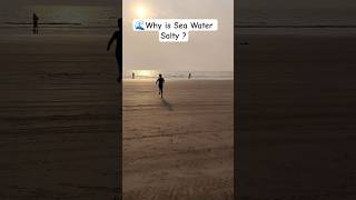 🌊 Why is Sea Water Salty? #sea #saltywater #shorts #saltlife