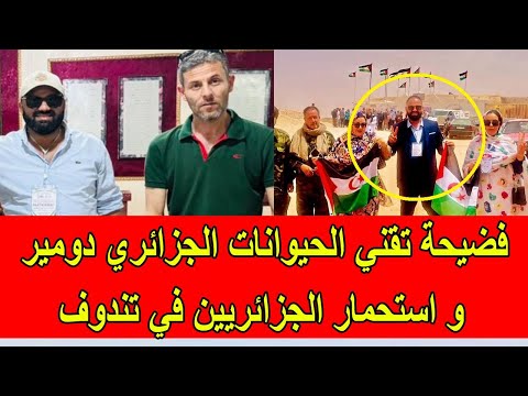 فضيحة تقني الحيوانات الجزائري دومير و استحمار الجزائريين في تندوف