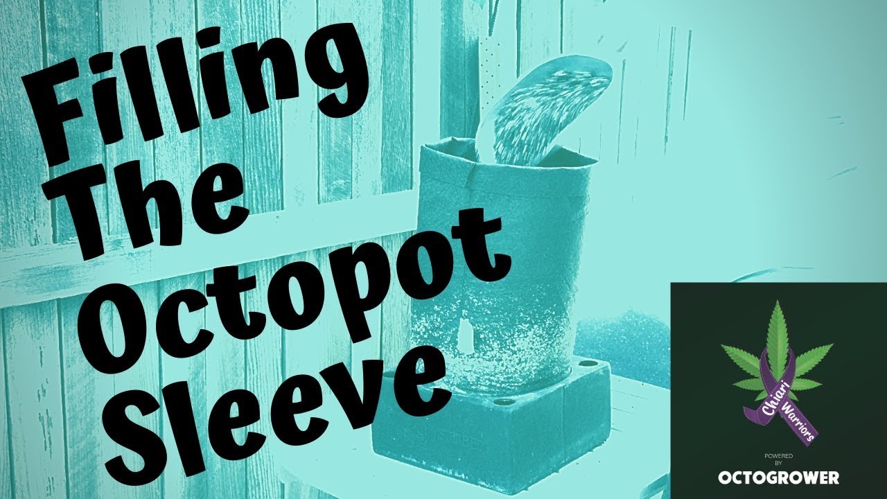 octopot for beginers (filling the octo sleeve )by Octogrower