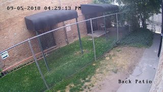 Surveillance video shows moments before shooting
