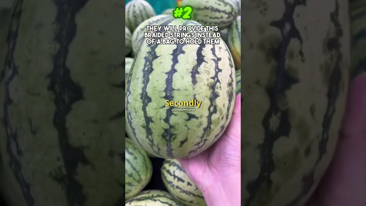 3 Things In Korea That Just Make Sense🇰🇷