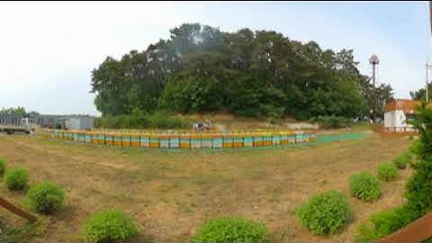 Virtual Reality BEE FARM Experience (360 VR, 4K)