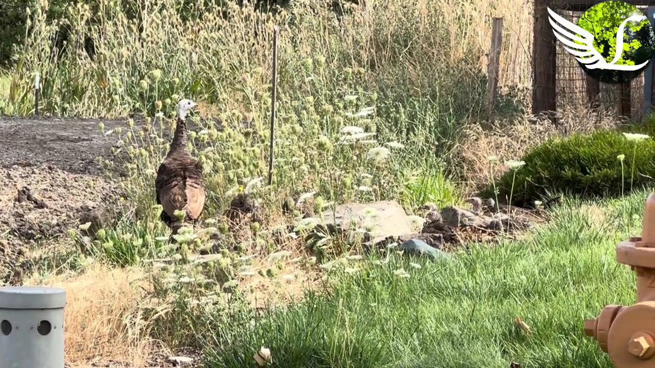 Paul and Tree Having a Rest in the Summer Sun Before Heading for a Meal