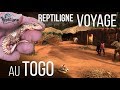 VOYAGE : Animaux sauvages et ferme d'élevage - Reptiligne au Togo !