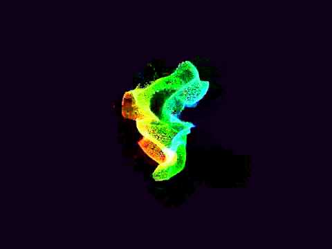 After Effects Audio React - Colorfull Twirls PREVIEW