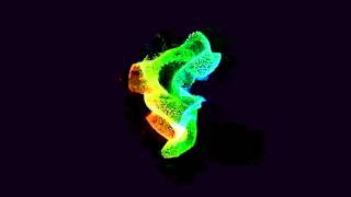 After Effects Audio React - Colorfull Twirls PREVIEW