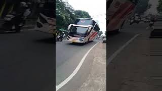 Goyangan Bus Murni Jaya