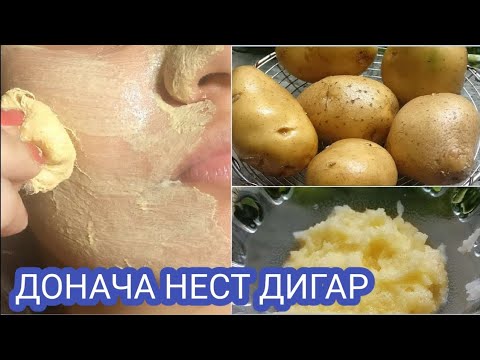 Video: Лабрадор чай маалыматы – Лабрадор чай бадалына кам көрүү жана өстүрүү талаптары