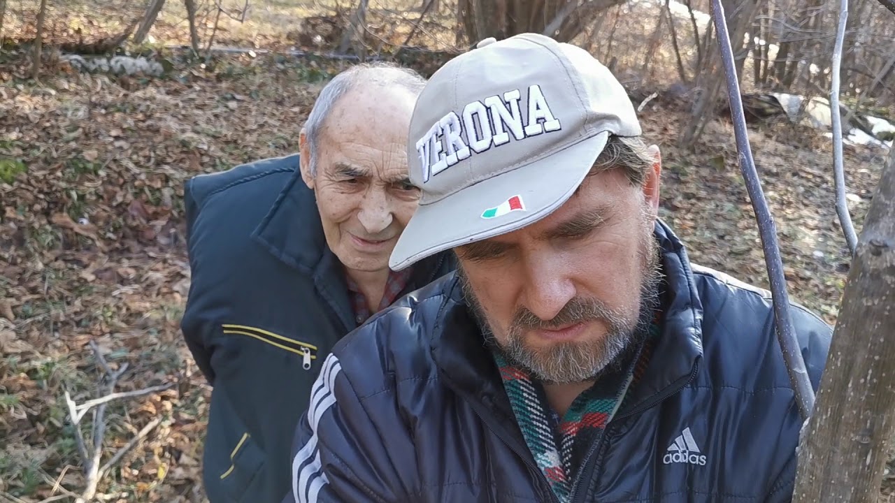 Присаждане/Ашладисване на орех на подобрена копулация..