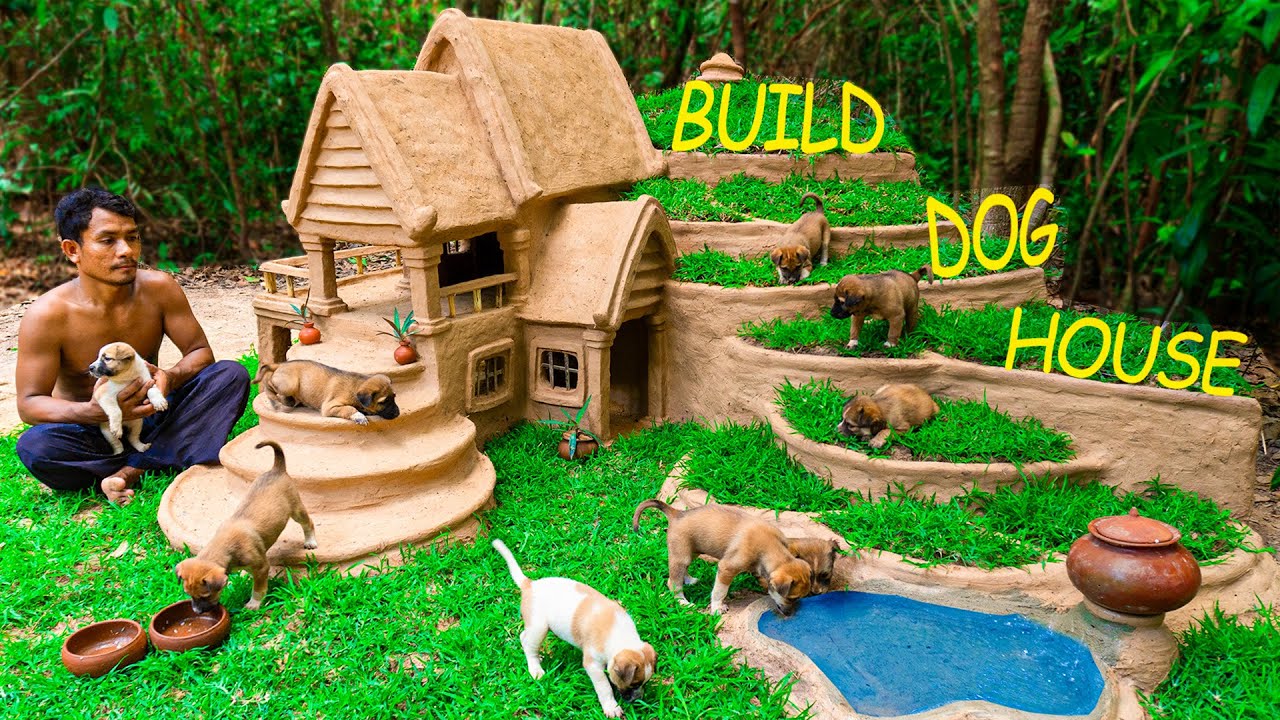 как построить дом для собаки мечты в джунглях - Rescue puppies