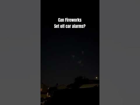 Fireworks set off car alarm???? #shorts #short #fourthofjuly #vlog #