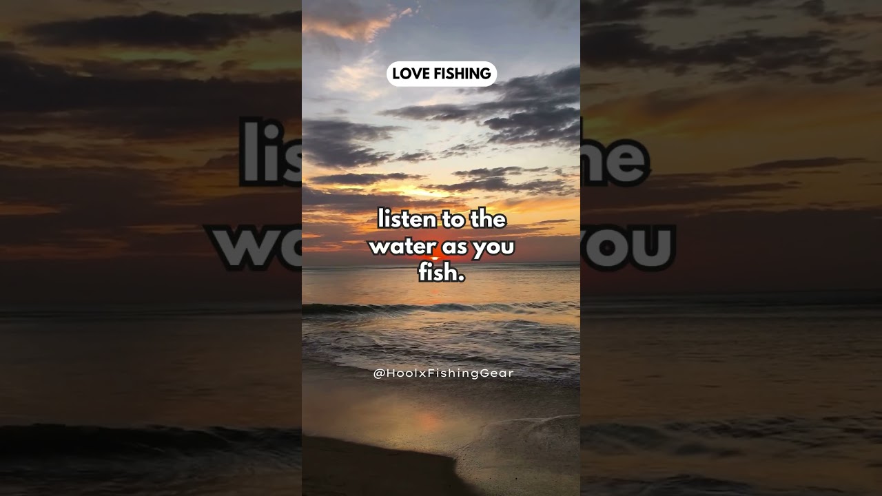 Hilarious Fishing Quotes  