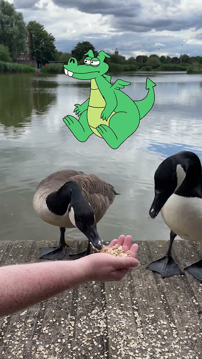 Cartoon Dragon Meets Live Action Goose | Animation in Real Life | Boy & Dragon #shorts