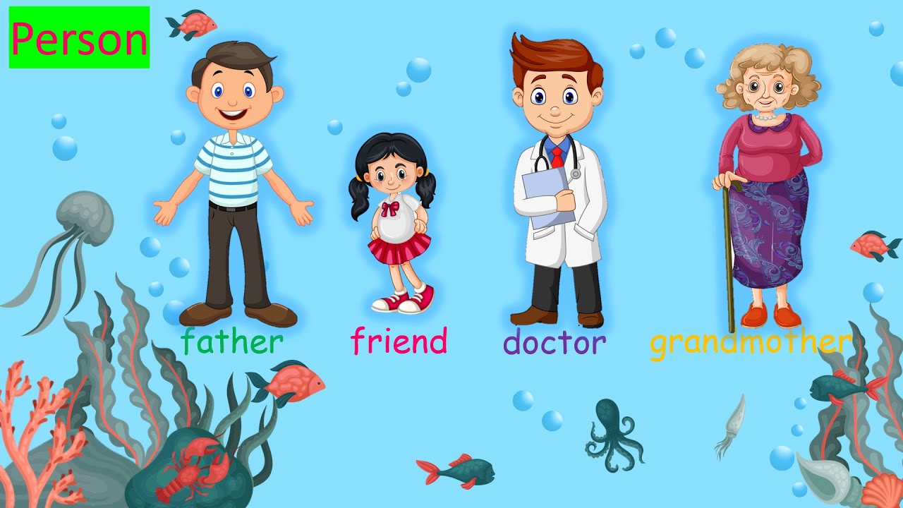 GRade 2: Nouns _ Wh-questions