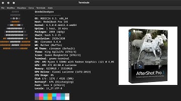 Install AfterShotPro in MODICIA O.S.  #calamares #configure #linux #technology
