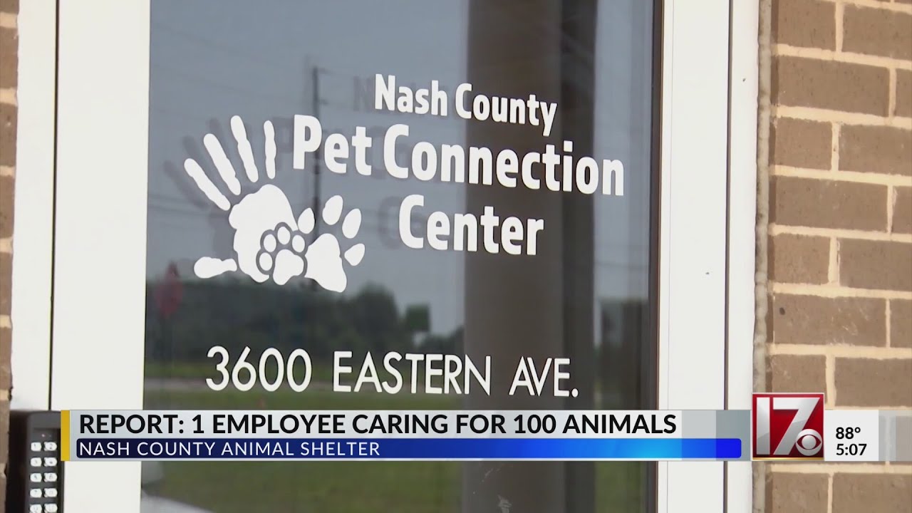 Report: One employee caring for 100 animals at Nash County shelter