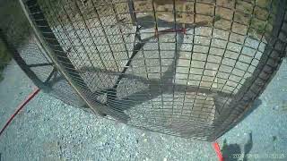 CAV IDPA Stg 1, 6:13:26
