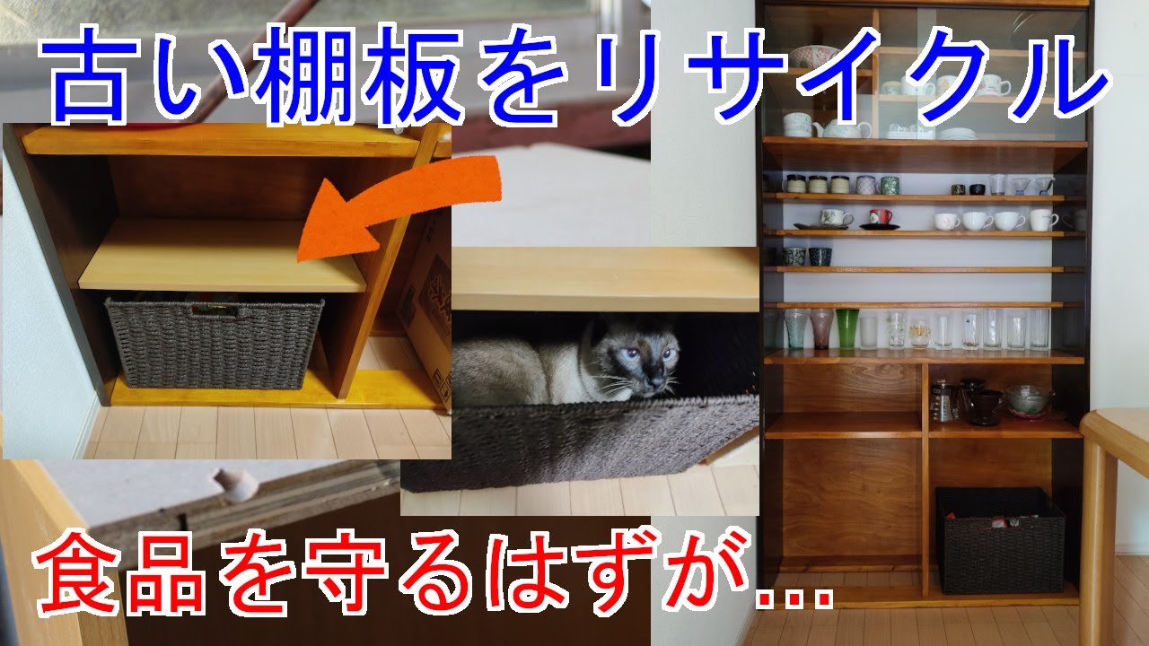 木工】自作食器棚に棚板を追加【DIY】 - YouTube