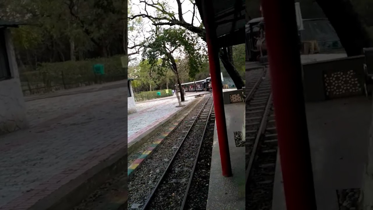 Kanpur Zoo Toy Train