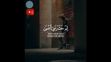 آيات من القرآن الكريم 💚 تلاوة خاشعة القارئ شريف مصطفى - sherif mostafa💚 سورة طه حالات واتس اب قران
